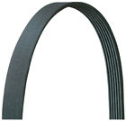 5060960dr Serpentine Belt