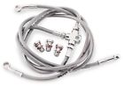 Rsv1000r D372-3 02-03-04-05-06-07-08 Galfer Brakes