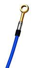 S-du0131-blu-gld Spiegler Alt 2-line Stainless