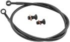 Ya2888-1fpbk Goodridge Blk Brk