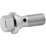 Magnum Shielding Banjo Bolt - Chrome 391012. Fixed Price $24.37.