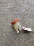 83-86 1985 Honda V65 Magna VF1100 Rear Master Brake Cylinder Fluid Reservoir. Fixed Price $24.95.