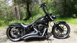 Softail Breakout Abs Front Brake Line + 10 Stainless Steel Goodridge Harley Fxsb. Fixed Price $89.98.