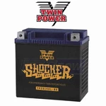 Twin Power Shocker Gel Battery For 2001-2006 Harley Davidson Flstci Bx. Fixed Price $180.45.