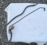 Harley Davidson Rod Vrsca Vrscb Rear Brake Line Hd# 40953-01 Gc. Fixed Price $240.40.
