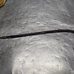 2002 Yamaha YZ250 Rear Back Brake Hose Fluid Line 5NY-25873-01-00. Fixed Price $10.00.