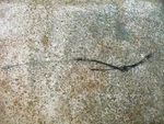 86-19 Suzuki LS650 Savage S40 Boulevard Oem Rear Brake Cable Special 58510-24B10. Fixed Price $69.99.