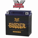 Twin Power Shocker Gel Battery For 2006 Harley Davidson Flsti Heritage Pv. Fixed Price $180.45.