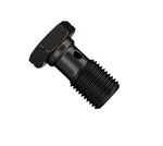 Goodridge Single Banjo Bolt 3/8X24 P775-03ZBK. Fixed Price $16.63.