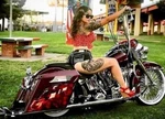 Road King Abs Front Brake Line +4 Stainless Steel Goodridge Harley 2008 Flhr/c. Fixed Price $89.98.
