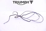 #619 Front Brake Line Hose Settriumph Street Triple 765 2017-2022. Fixed Price $79.99.