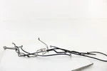 20-22 Indian Challenger Abs Hose Lines. Fixed Price $199.23.