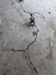 2025 Harley Davidson Nightster RH975 Abs W Frt Rear Brake Lines Assy. Fixed Price $150.00.
