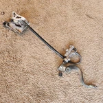 2007 - 2023 Honda CRF150RB Rear Brake Caliper & Master Cylinder Genuine. Fixed Price $110.00.