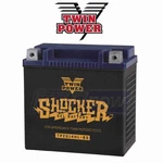 Twin Power Shocker Gel Battery For 1991-2017 Harley Davidson Flstf Fat Boy Js. Fixed Price $180.45.