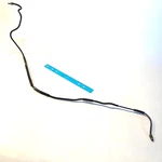 1980 To 1983 Honda Goldwing GL1100, Brake Line Pipe, P/n 43313-MB9-781. Fixed Price $19.50.