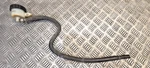 Yamaha XV1700 Road Star Warrior Rear Brake Fluid Reservoir. Fixed Price $26.80.